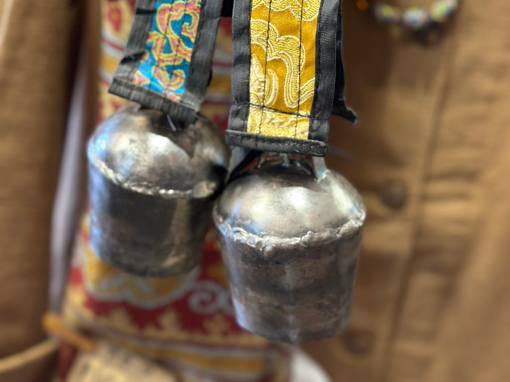 IMG_4587_1024x.jpg?v=1708837566